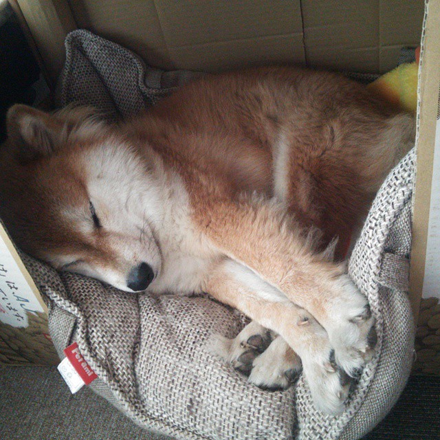 电竞选手的时间管理：训练计划与生活平衡，职业电竞选手的训练时间