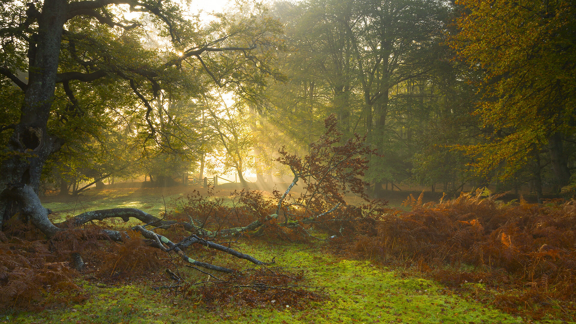 AYX GAME-电竞文化与青年文化：电竞的魅力与影响力，电竞文化的目的和意义