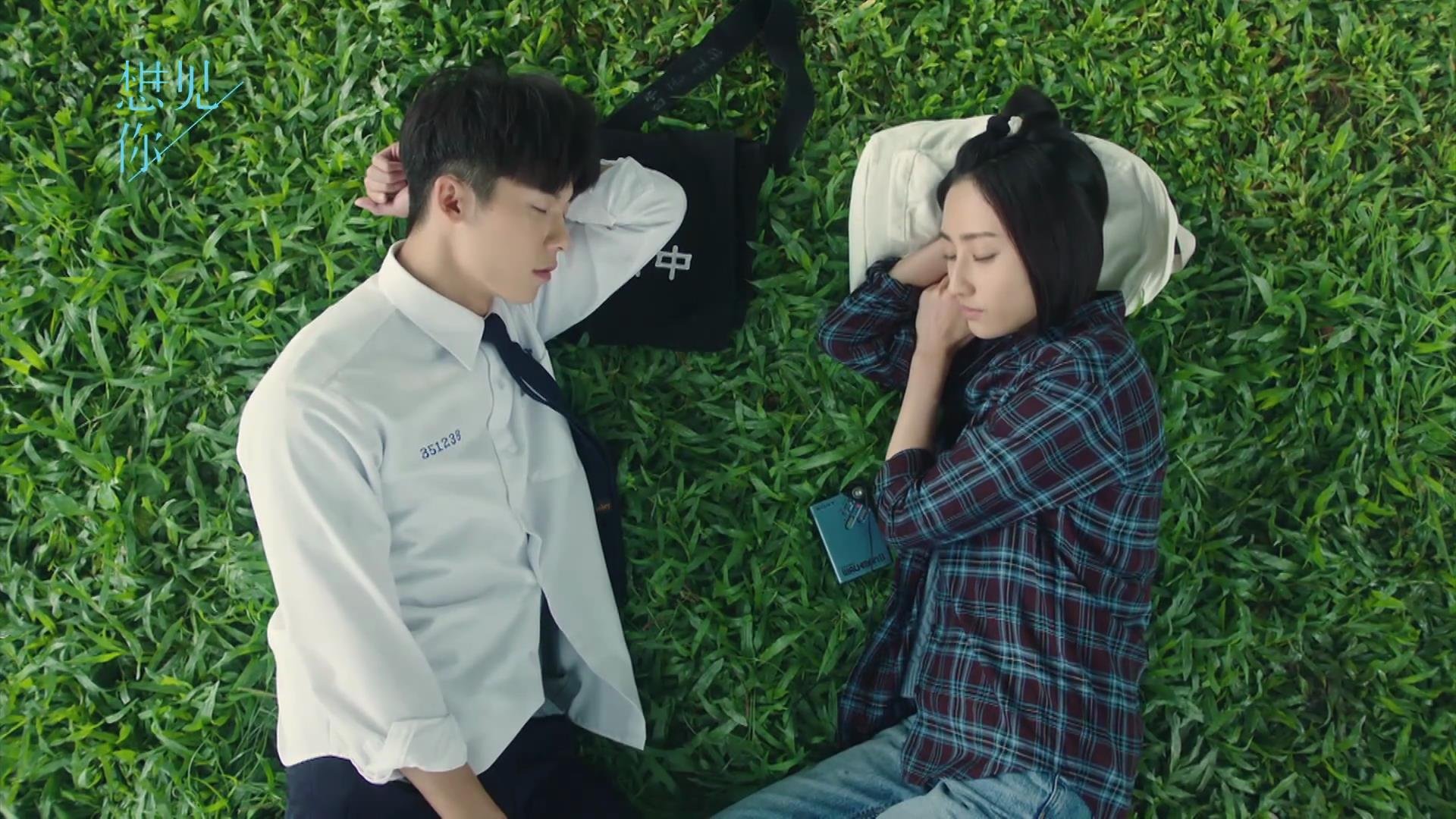 逆境求生：危机时刻球队如何调整战略？，逆境求生的狮群