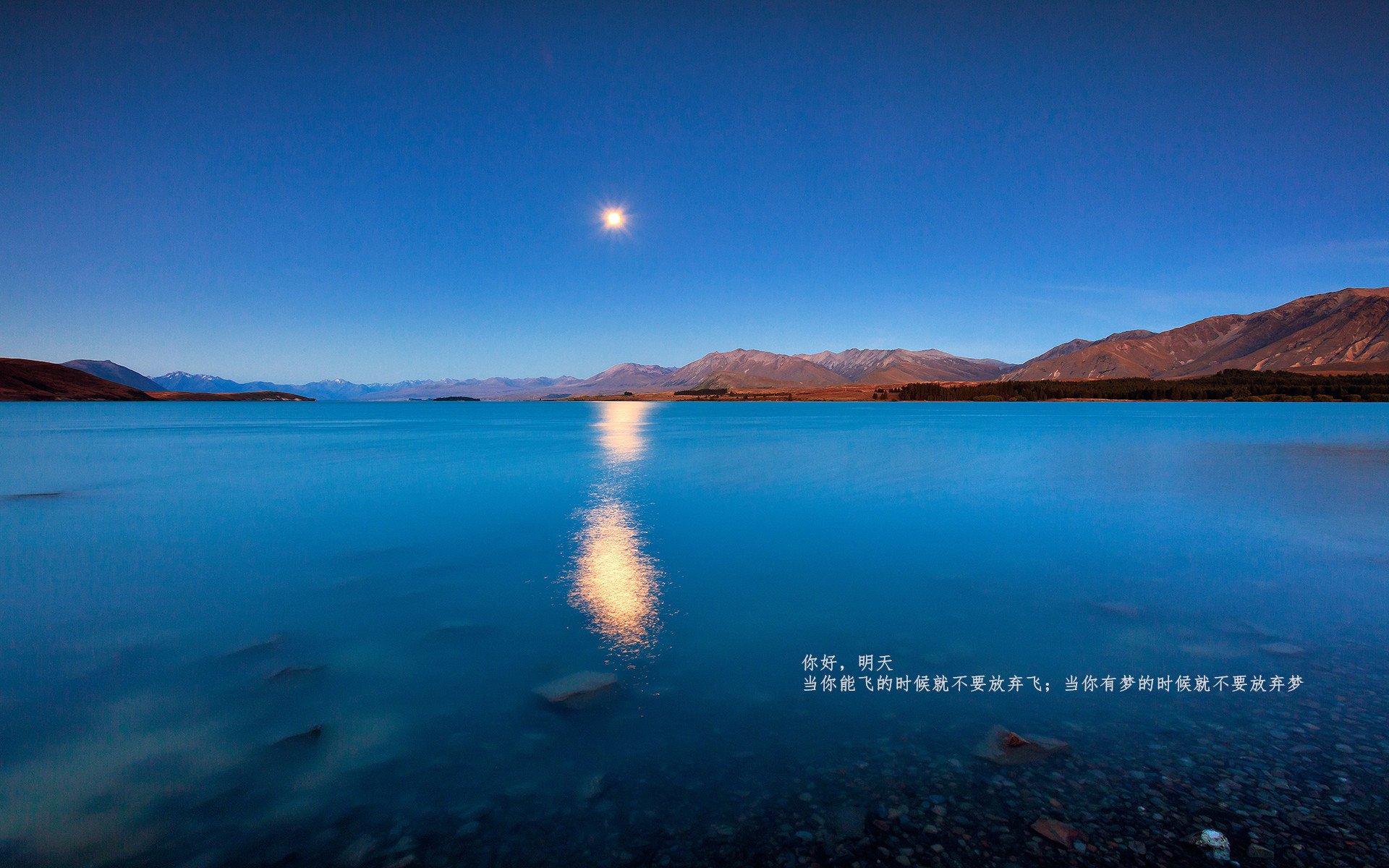 墨西哥队在巴黎奥运会比赛中展现出高效的传球配合,奥运会墨西哥vs巴西比分预测