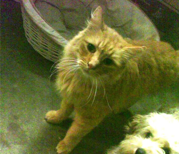 AYX SPORTS-深度解析排球联赛裁判误判影响，排球挑战裁判失败的后果