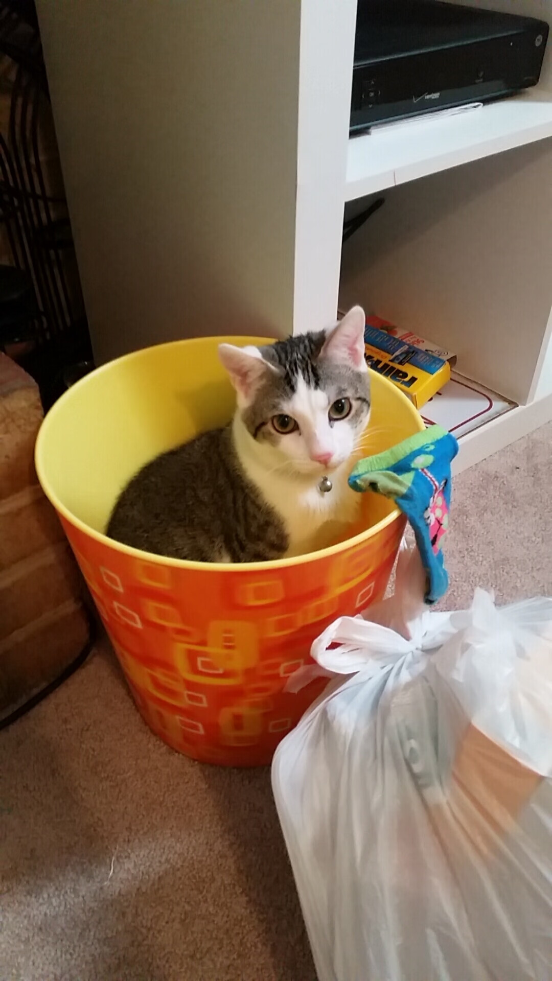 AYX GAME-电竞直播内容版权保护与侵权追踪技术创新，电竞直播内容版权保护与侵权追踪技术创新研究