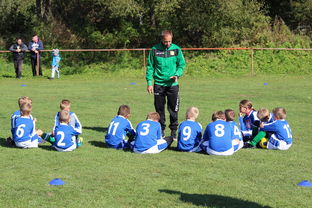 爱游戏体育app-中国篮球教练员团队协作能力培养与管理实践，篮球教练员在团队中扮演了哪些角色