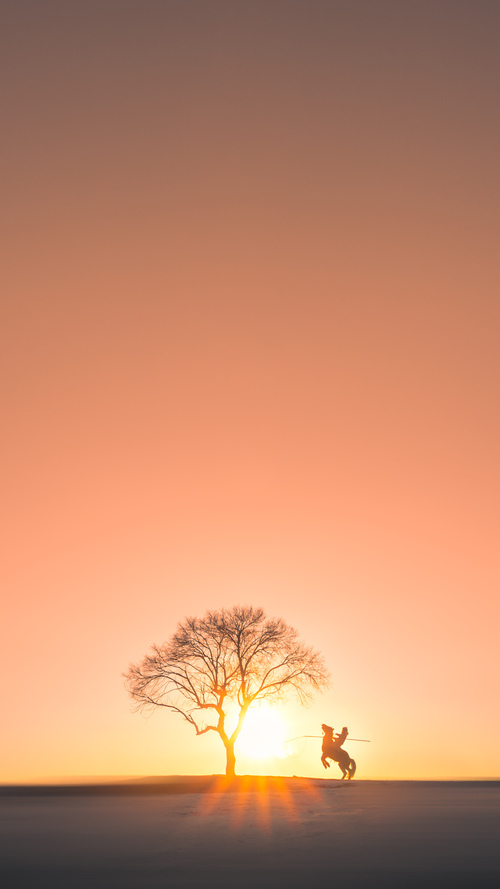 争夺战：各大联赛冲刺阶段的焦点战役汇总，争夺战是什么