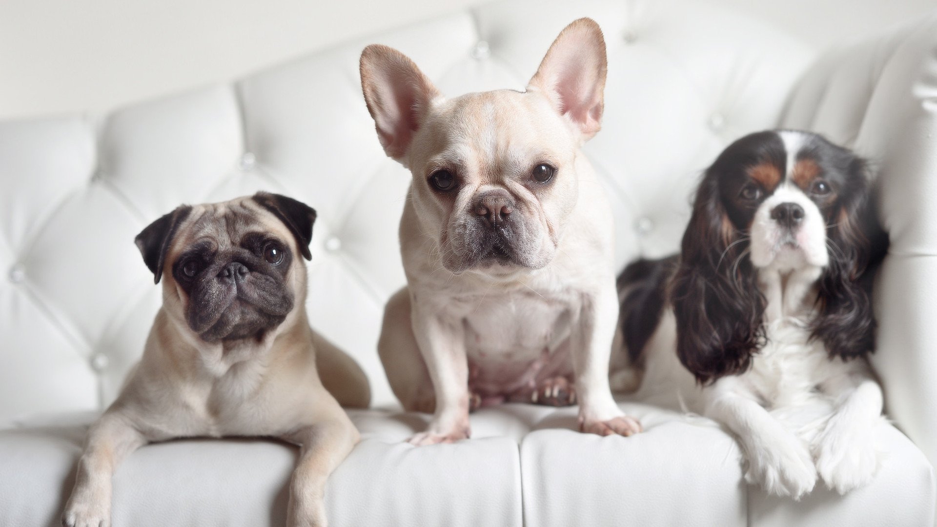 全国青少年攀岩挑战赛在重庆火热进行，全国青年攀岩锦标赛