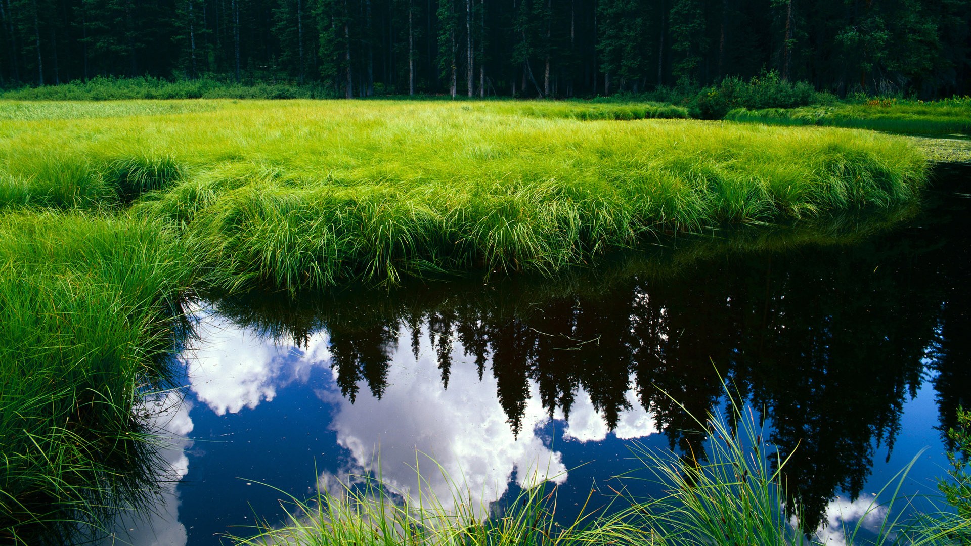 全国青少年攀岩挑战赛在重庆火热进行，全国青年攀岩锦标赛