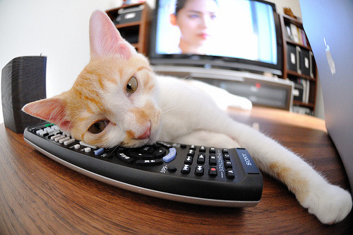 意甲教练团队数据驱动的战术布置优化方案，意甲教练排名