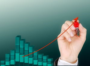 爱游戏娱乐网址-运动项目职业路径设计与发展研究，运动职业化