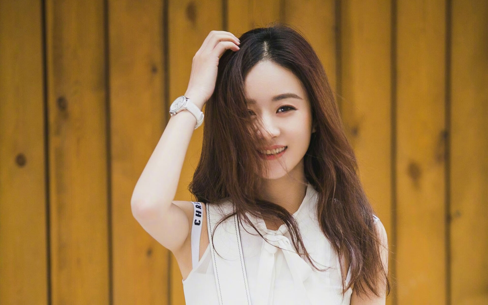 运动项目职业路径设计与发展研究，运动职业化