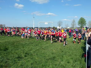 爱游戏体育官方网站-青少年体育运动社会支持系统研究，青少年体育运动社会支持系统研究现状