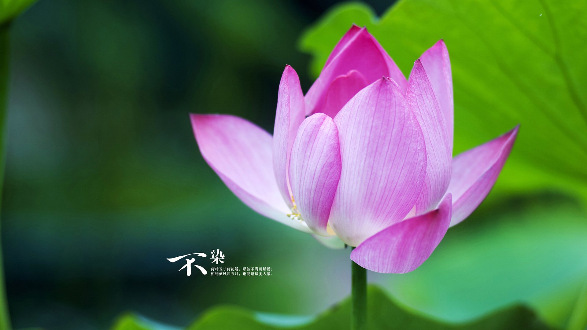 体育新闻中心联合知名平台发布体育创作人扶持计划,体育产业新闻