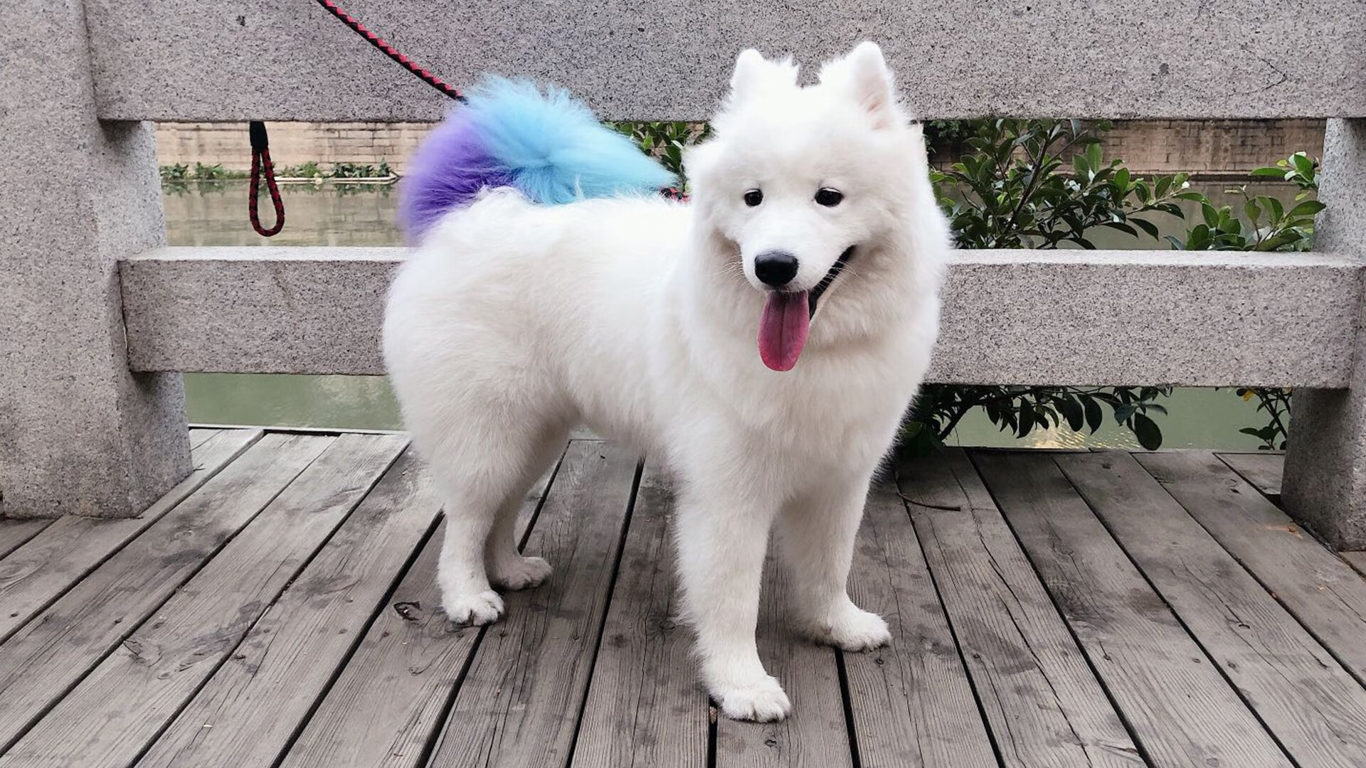 场馆设施智能化管理水平提升，智能场馆如何实现信息化