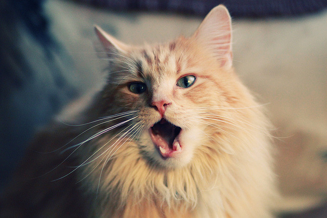 大数据结合体质测评推进个性训练普及，大数据支撑下学生个性化发展评价探索