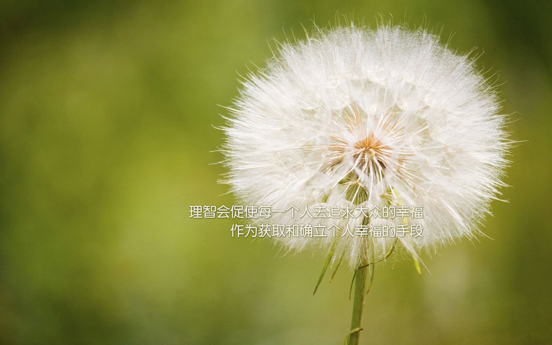 爱游戏 电竞-搏击赛前动员大会引导选手关注心理安全，搏击比赛赛前准备