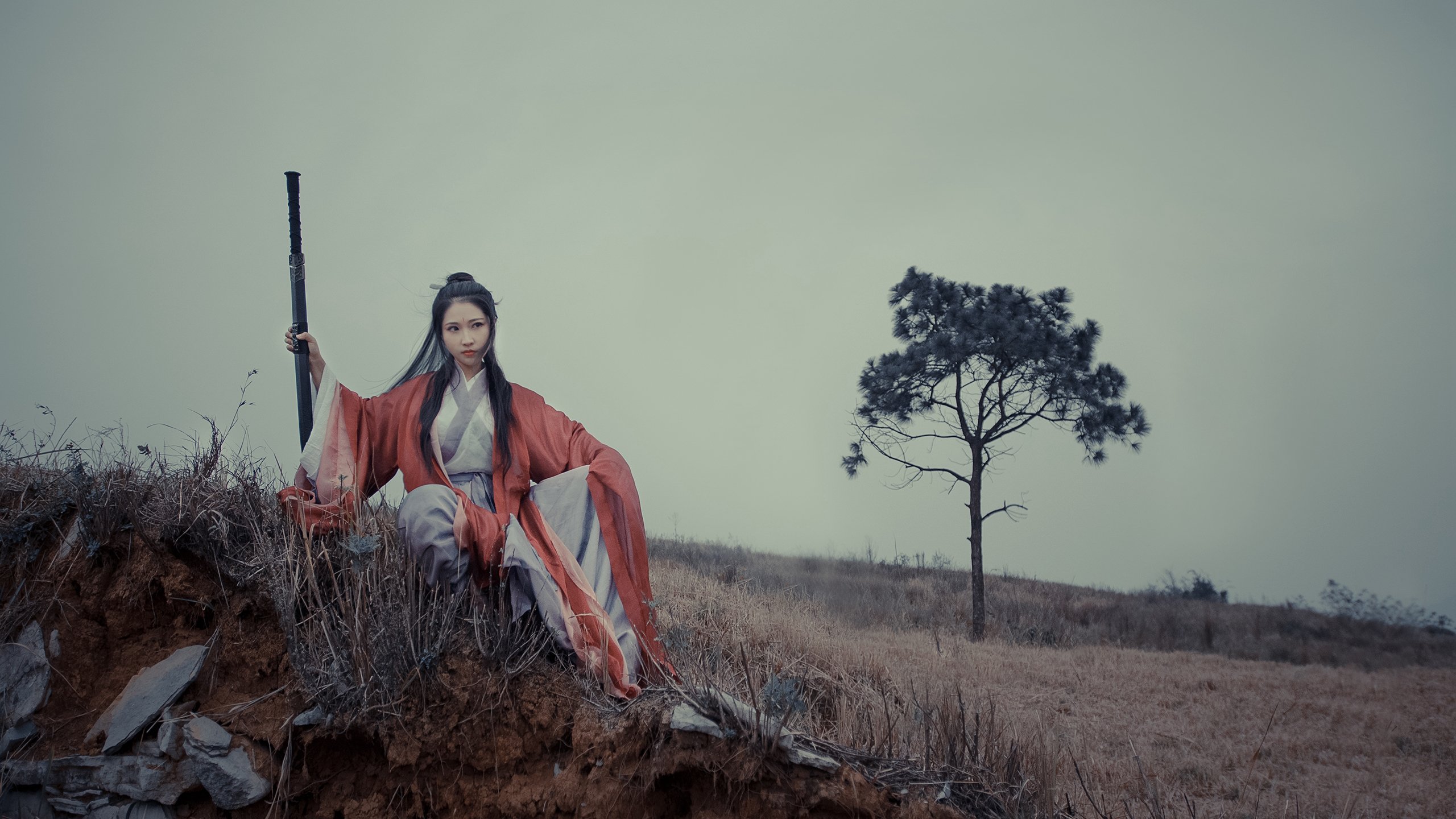 波兰队赛制解析:如何通过精准的战术调整赢得关键比赛,波兰队阵型