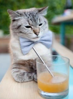 中国男篮加强与职业联赛联动提升训练质量，2021年中国男篮训练视频