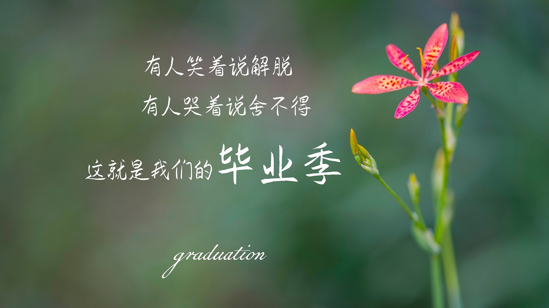 爱游戏娱乐平台-中超联赛引入更多本土教练打造中国特色战术体系，中超来过哪些著名教练