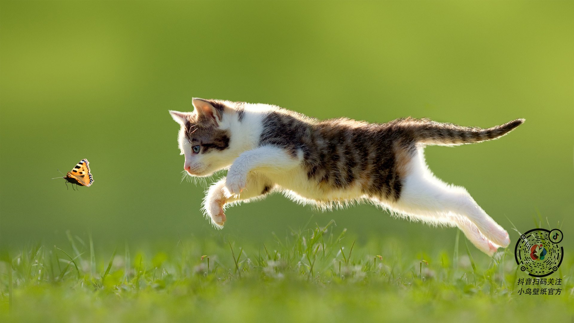 爱游戏中国官方登录入口网站-校园篮球杯决赛热度持续升高引发社交平台热议，校园篮球赛赛程