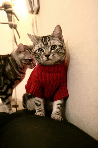 陈艺文发挥出色赢得掌声，陈艺文百度百科